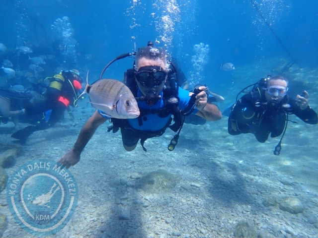 17-18 Eylül Bodrum