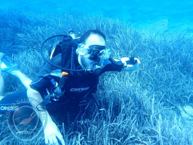 17-18 Eylül Bodrum