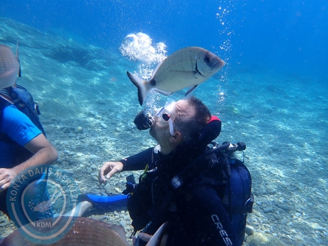 17-18 Eylül Bodrum