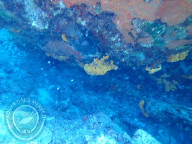17-18 Eylül Bodrum