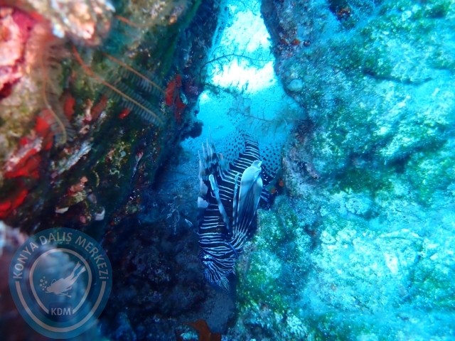 17-18 Eylül Bodrum