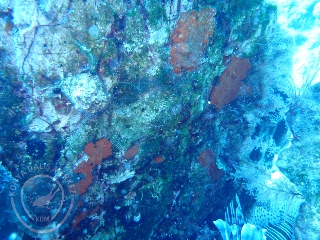 17-18 Eylül Bodrum