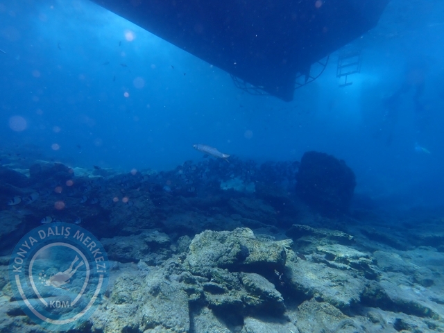17-18 Eylül Bodrum