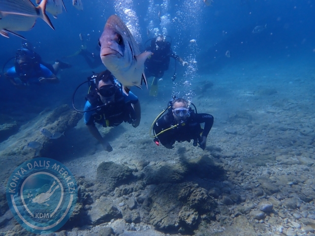 17-18 Eylül Bodrum