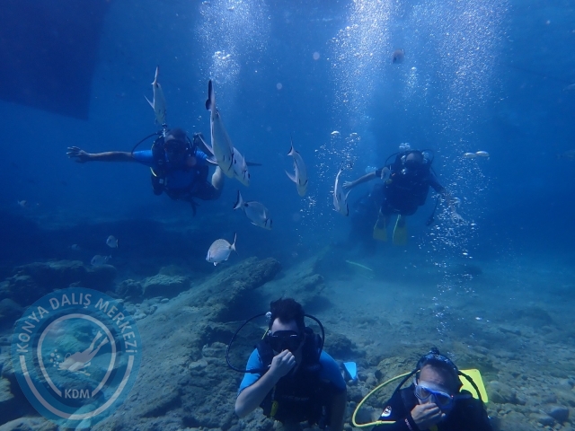 17-18 Eylül Bodrum