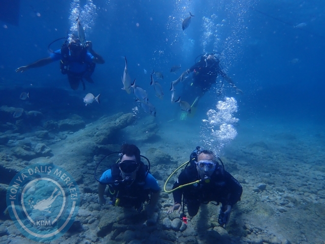 17-18 Eylül Bodrum