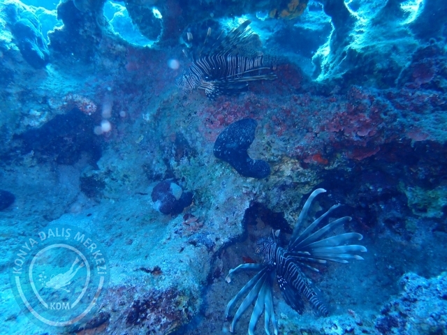 17-18 Eylül Fethiye