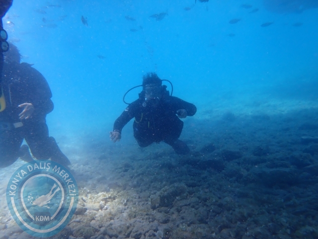 17-18 Haziran Bodrum