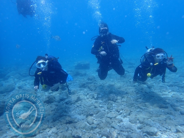 17-18 Haziran Bodrum