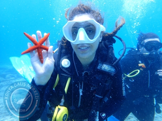 17-18 Haziran Bodrum