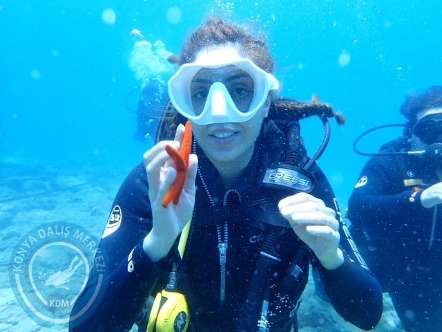 17-18 Haziran Bodrum