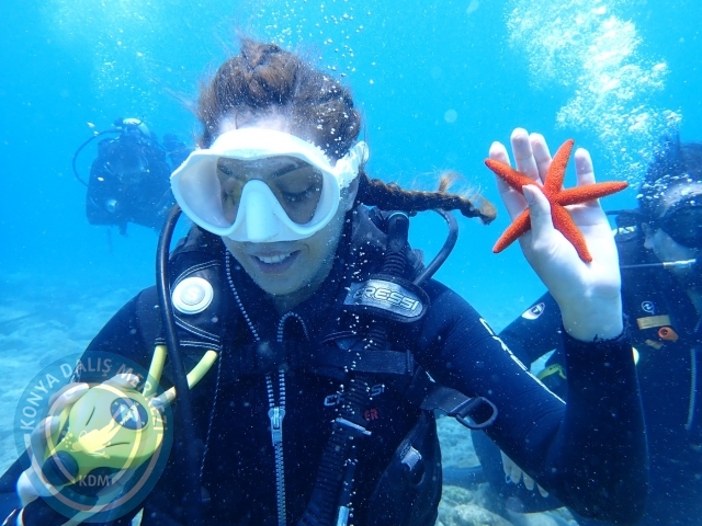 17-18 Haziran Bodrum