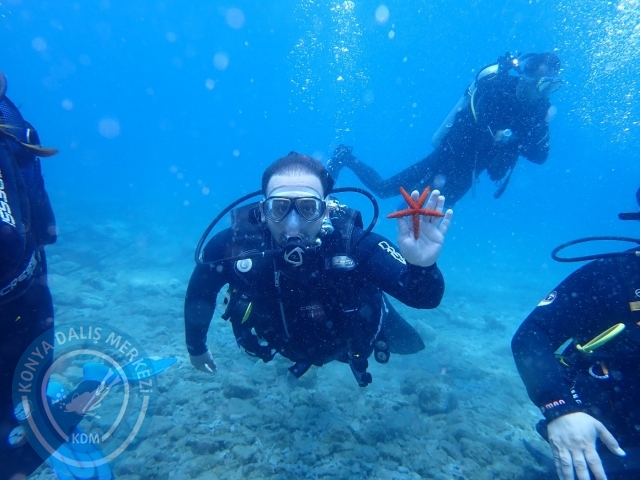 17-18 Haziran Bodrum