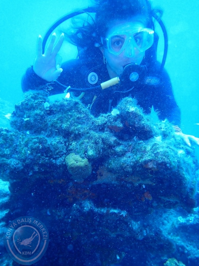 17-18 Haziran Bodrum