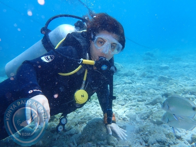 17-18 Haziran Bodrum