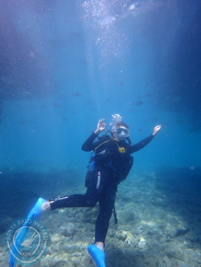 17-18 Haziran Bodrum