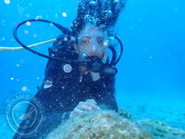 17-18 Haziran Bodrum