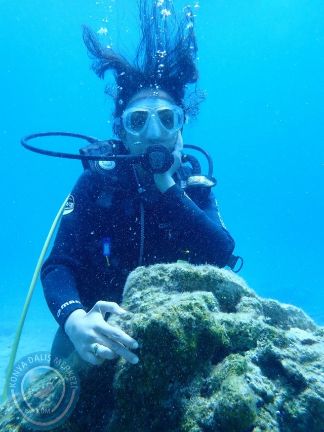 17-18 Haziran Bodrum