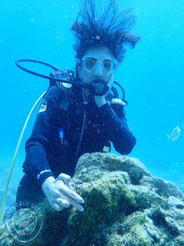 17-18 Haziran Bodrum