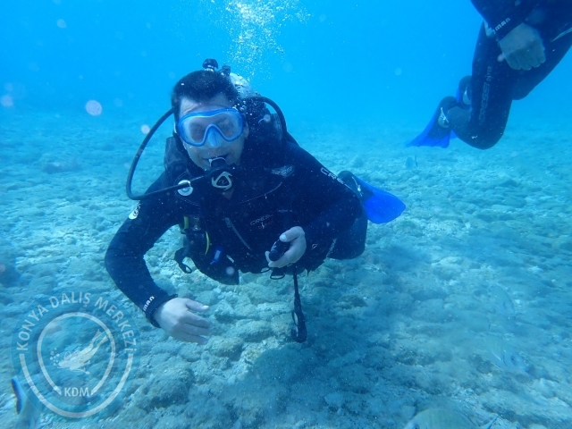 17-18 Haziran Bodrum