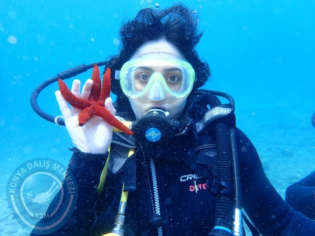 17-18 Haziran Bodrum