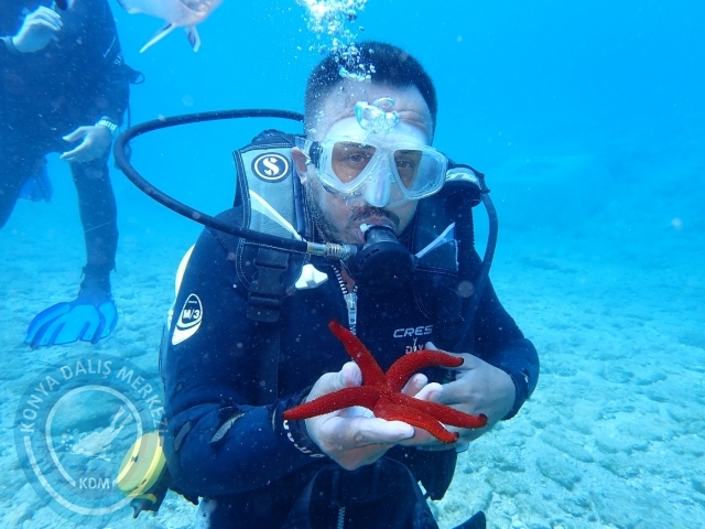 17-18 Haziran Bodrum