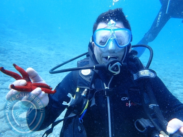 17-18 Haziran Bodrum