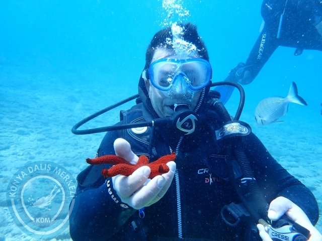17-18 Haziran Bodrum