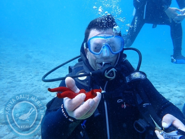 17-18 Haziran Bodrum