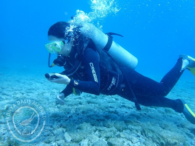 17-18 Haziran Bodrum