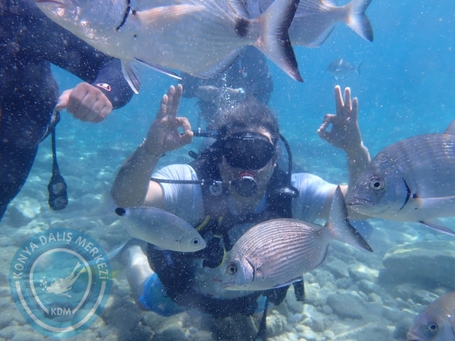 17-18 Haziran Bodrum