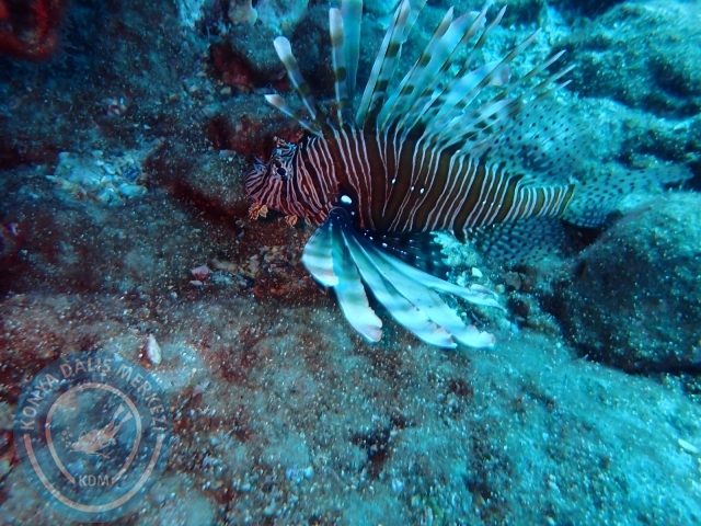 18-19 Haziran Alanya