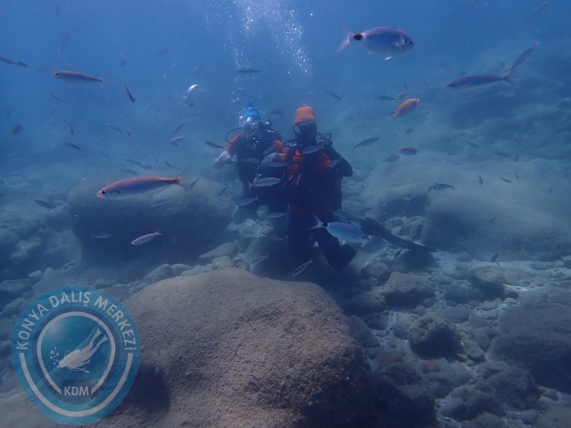 18-19 Haziran Alanya