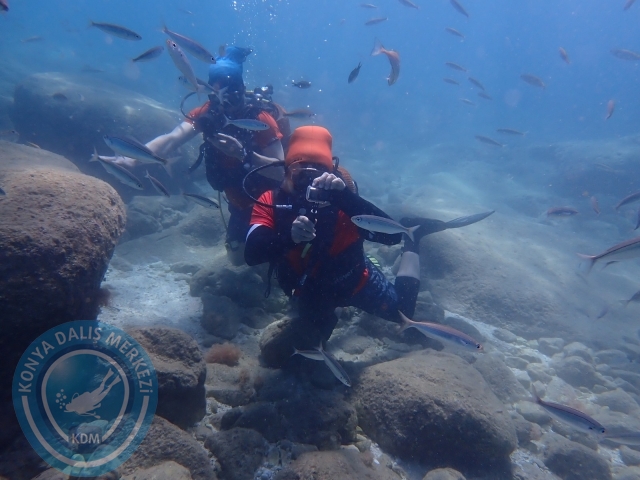 18-19 Haziran Alanya