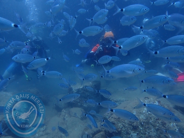18-19 Haziran Alanya