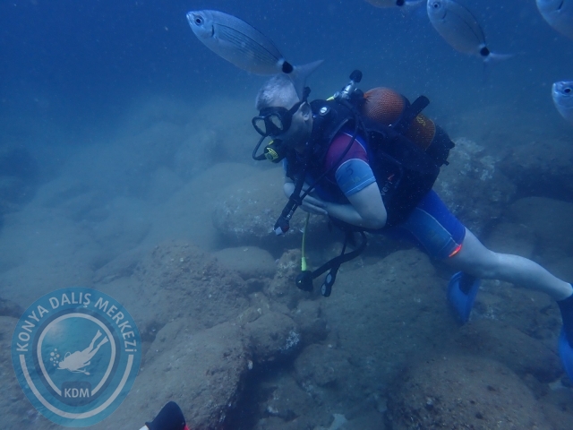 18-19 Haziran Alanya