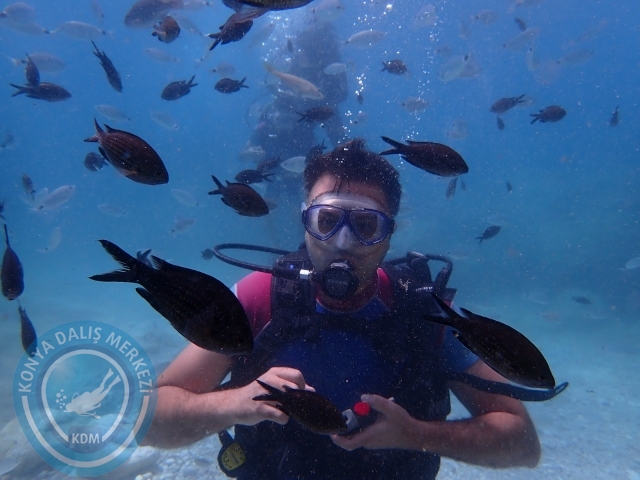 18-19 Haziran Alanya