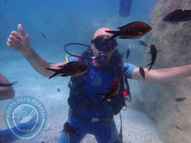 18-19 Haziran Alanya