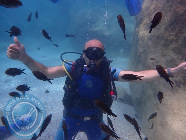 18-19 Haziran Alanya