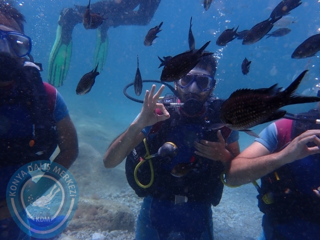 18-19 Haziran Alanya