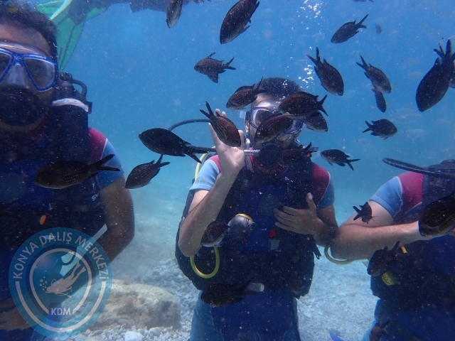 18-19 Haziran Alanya