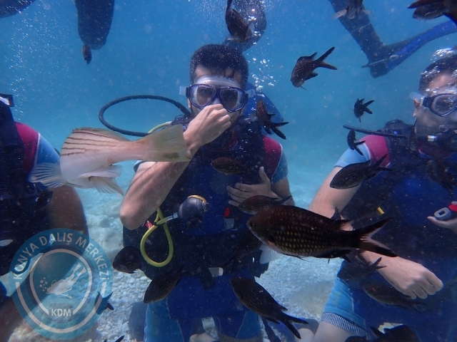 18-19 Haziran Alanya