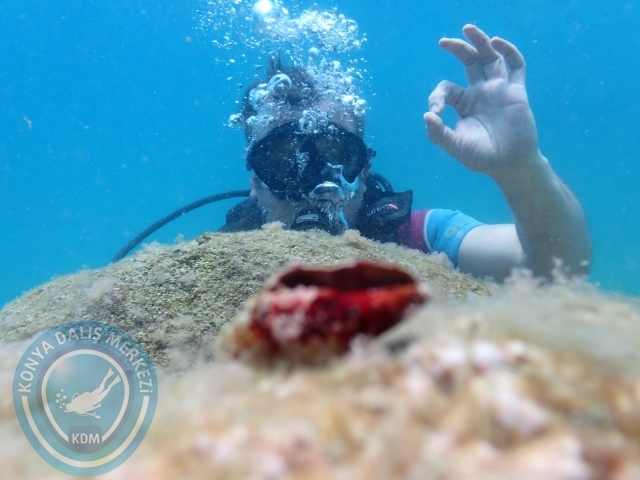 18-19 Haziran Alanya