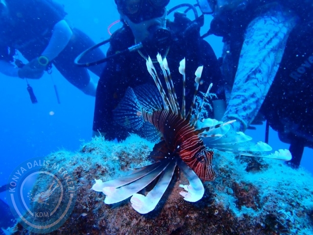 18-19 Temmuz KAŞ