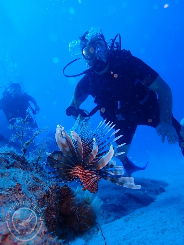 19-20 Ağustos Kaş