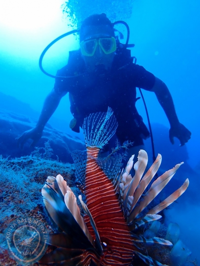 19-20 Ağustos Kaş