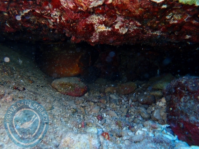 19-20 Ağustos Kaş