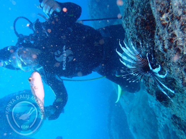 19-20 Ekim Alanya