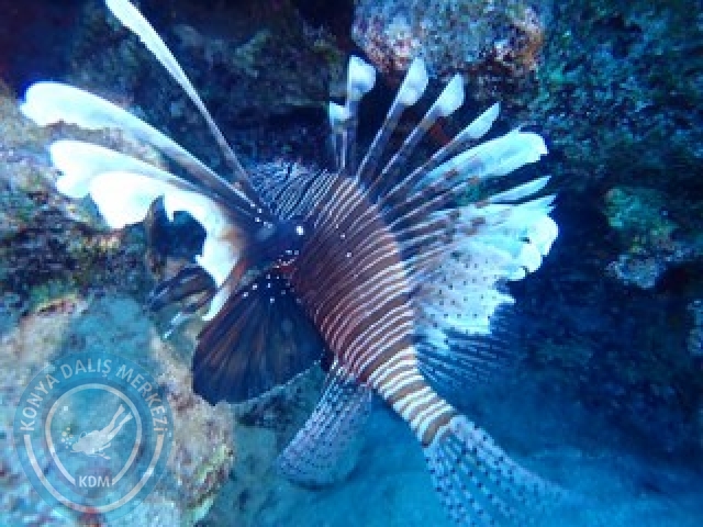 19-20 Eylül Fethiye