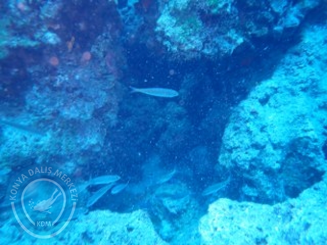 19-20 Eylül Fethiye